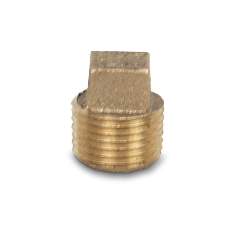 4 Inch SS Housing Brass End Plug 1/2 Inch FNPT — water filtration system