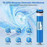 Reverse Osmosis Membrane 75 GPD 11.75” X 1.75”, Replacement - PureWaterGuys.com