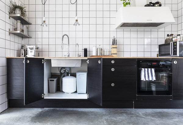 Reverse Osmosis vs. Whole House Filters: Which One Do You Actually Need? - PureWaterGuys.com