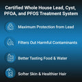 OP1L Certified Whole House Lead, Cyst, PFOA, and PFOS Water Filter System - PureWaterGuys.com